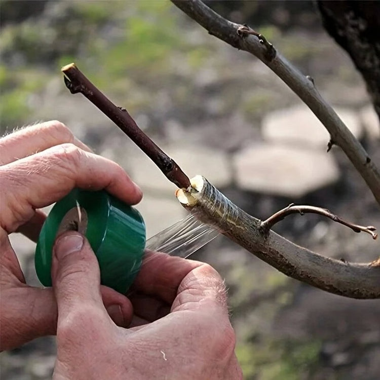 Plant Grafting Tape Roll for Fruit Trees, Seedlings & Garden Grafts